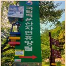휴양림길 Daum카페