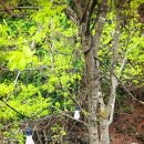 돋을볕펜션 이미지