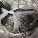 푸른바다 | 남당항맛집 남당항대하축제 푸른바다 생새우 후기