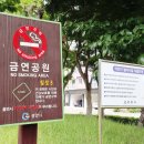 보광사 칠성도 이미지
