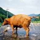 개울가 - 서산시 마애삼존불길 83 | 개울가