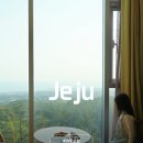 WE | 제주도 여름 호캉스 추천 제주 WE 위호텔 객실 수영장 후기
