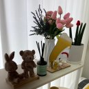 아이올라네일 이미지