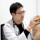 서초 이태형 동물병원 뉴스1