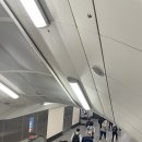영국 런던 7박 9일 3일차- 해리포터 스튜디오/리버티백화점/햄리스장난감백화점/위키드뮤지컬