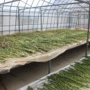 송원민박 이미지