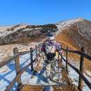 천동 | 소백산 비로봉 천동코스 산행 후기