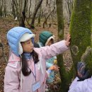 도토리숲속학교 이미지