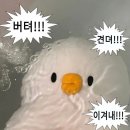 [신한 커리어업 9기] 나봄씨, 신입사원이 되다!
