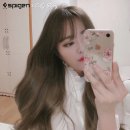 주식회사 슈피겐코리아 | 《Celly Shop 셀리샵 Sponsorship》 슈피겐 코리아 spigen with velye0n