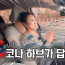 카페15.2(CAFE15.2) | 🎯 전기차 vs 하이브리드 실제 소비자 후기 분석 (2026년 실체험 데이터)