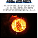 토브랜드 이미지