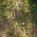 정다운재가노인복지센터 이미지