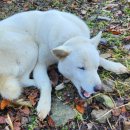 은옥농장 이미지