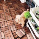 마루컴퍼니 이미지