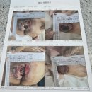 배중개(여)경로당 | 제보&gt; 요양병원에서의 욕창은 의료사고로 김제 가족사랑요양병원과 김천요양병원의 경우- 1톤 트레일러...