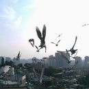 시선 팩토리 이미지
