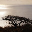 큰섬민박 이미지