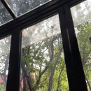 뉴욕라츠오베이글스 이미지