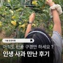 전의농장 | 문경 가볼만한곳, 사과따기체험 문경따봄농장 솔직후기