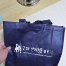 은해반려동물보조기 네이버블로그