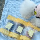 김선생펫푸드 이미지