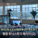 블루펭귄 | 휘닉스파크 블루캐니언 워터파크/조식뷔페/루지/펭귄카페 솔직후기