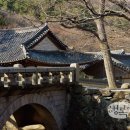 낙산유선 이미지