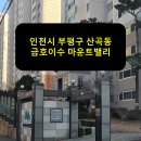 금호이수마운트밸리(40316) | 인천시 부평구 산곡동 금호이수마운트밸리 승강기보양 후기