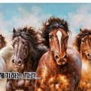 우주행정사사무소 이미지