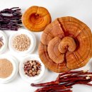 영지2농장 이미지