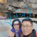 수승대 오토캠핑장 Daum카페