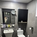 사라보래 이미지