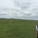 나의목장 이미지