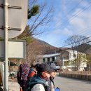 미X계곡 상황버섯 산행 이미지