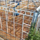 비에스팜 이미지