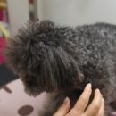 해빛5로 이미지