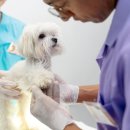 우리앤동물병원 이미지