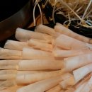 어바웃샤브샤브 이미지