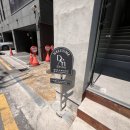 사월해 | 성수 미용실 머리 맛집 찾는다면? 드안헤어 사월 디자이너 후기