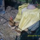 변산농장 이미지