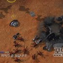 비젼부화장 포모스