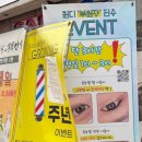 퀸디 네이버블로그
