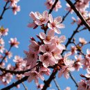 부산혜남학교 이미지