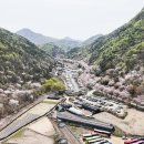 산꽃벚꽃마을 오토캠핑장 네이버블로그