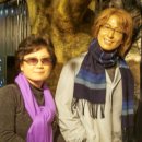 중문동-20 이미지