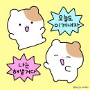 현주의료재단 | 징의 인대재건술 일기 ꒰⍤꒱ 울산 더프라우병원 정형외과 입원 #3