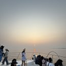 돌고래하우스 | [제주도] 6월 가볼만한곳ㅣ제주요트투어, 돌고래투어&amp;선셋투어 후기 (feat. 중국인 관광객 코스..)