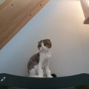 도담도담이발소 이미지