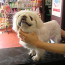 알파문구 앞 이미지